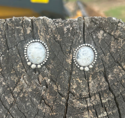 White Buffalo studs