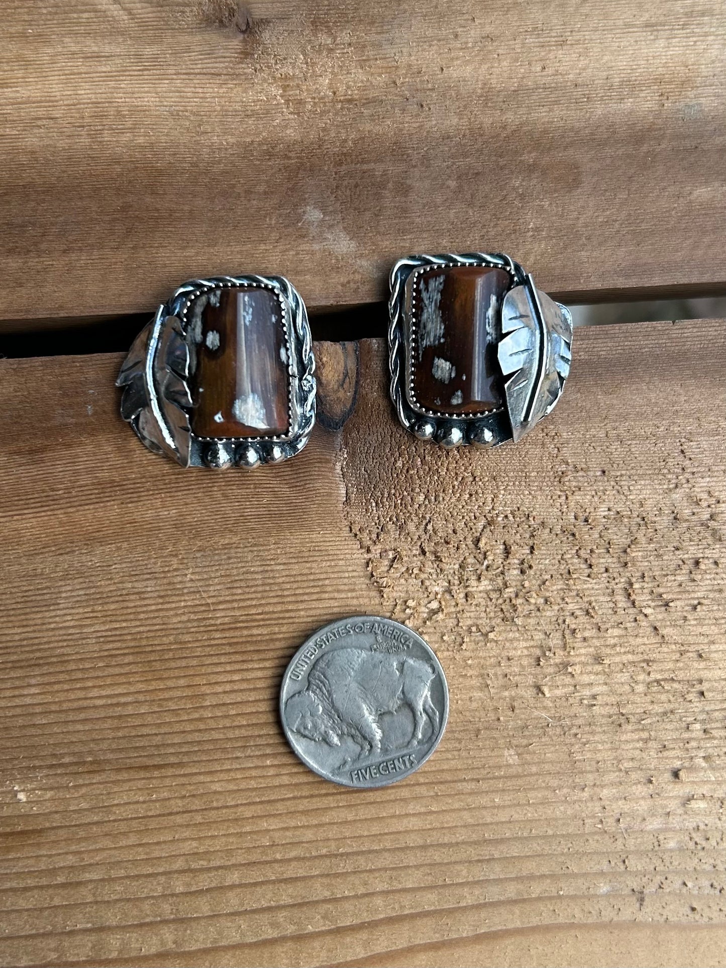 Petrified Wood Earrings