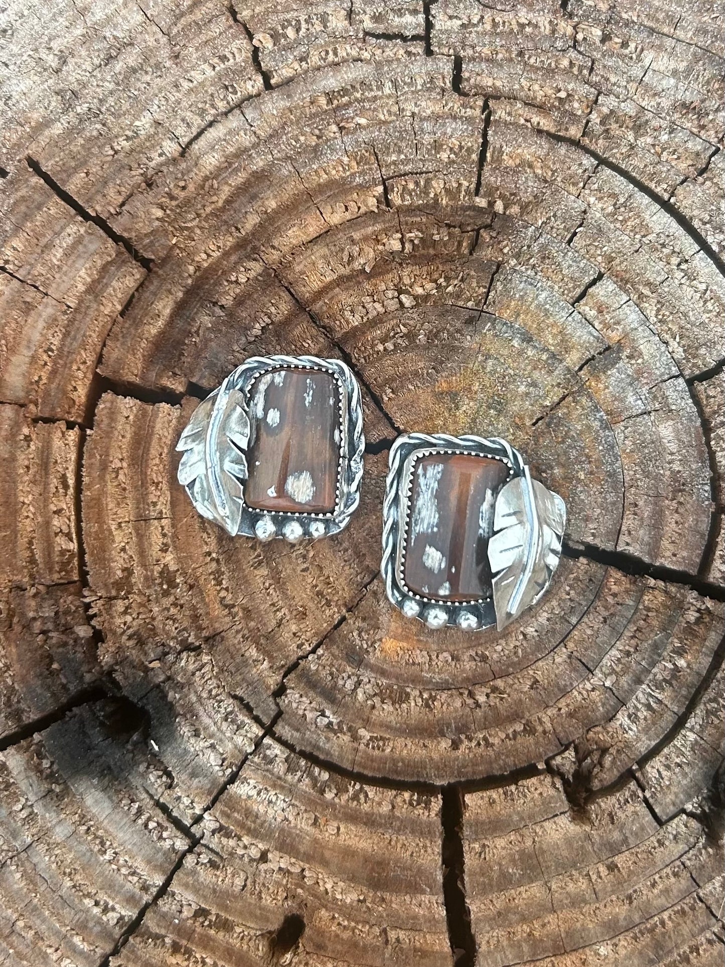 Petrified Wood Earrings
